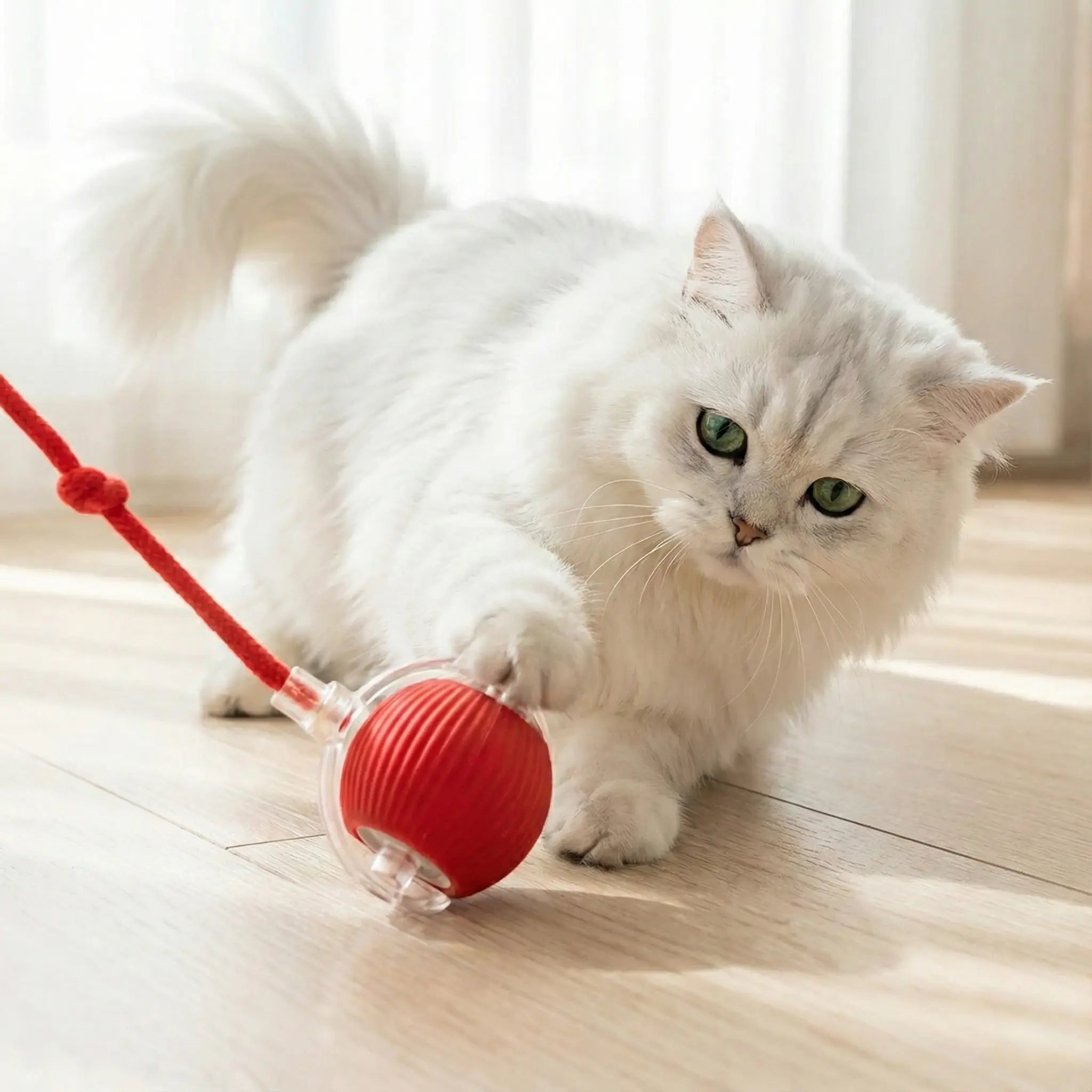 Smart Rolling Pet Ball